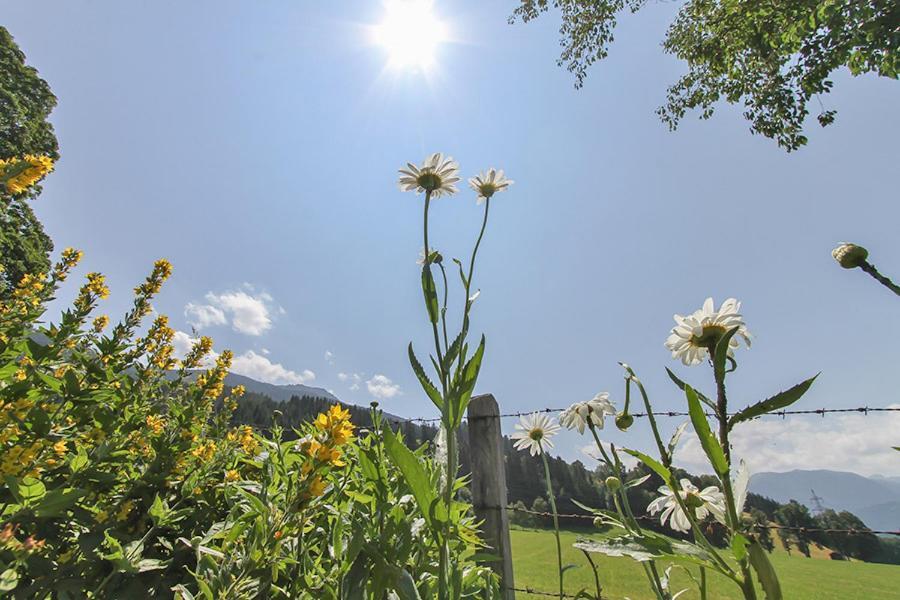 Ferienwohnung Schwalbenwandblick Saalfelden ภายนอก รูปภาพ