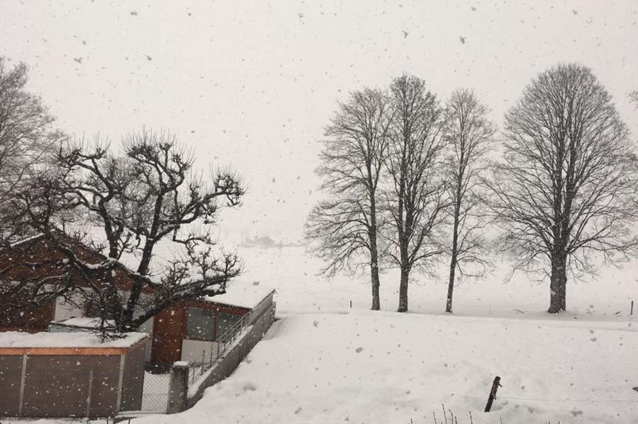 Ferienwohnung Schwalbenwandblick Saalfelden ภายนอก รูปภาพ